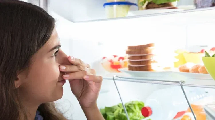 Sering Bikin Kulkas Bau? Cek 10 Makanan Lama yang Wajib Dibuang