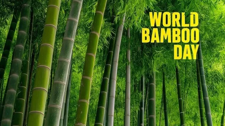 18 September : Hari Bambu Sedunia, Inspirasi Hijau dari Alam