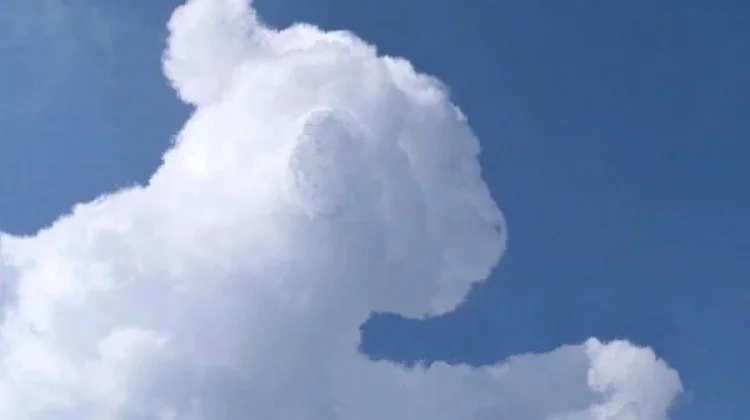Fakta Unik Pareidolia, Otak Suka ‘Menipu’