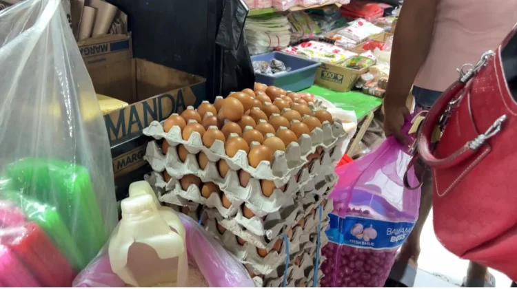 Ketiadaan Kapal Pelni Berdampak pada Harga Telur di Serui Capai Rp90 Ribu per Rak