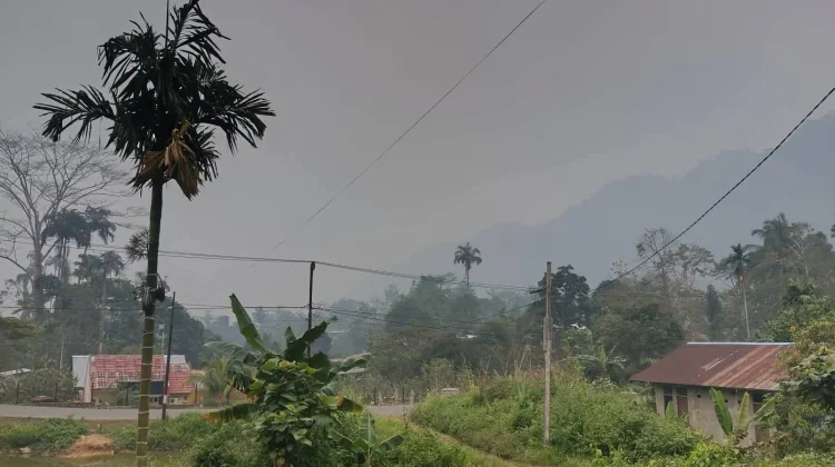 Jangan Sepelekan Kabut Asap! Kenali Ancaman Tersembunyi di Balik Udara yang Kabur