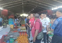 Perindag Yapen, Bulog, Ketahaan Pangan Satgas, Lakukan Sidak