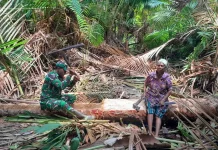 Babinsa Tokok Sagu Bentuk Kepedulian Ringankan Beban Warga