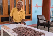 Petani Kakao  Harap Perhatian Pemda Yapen