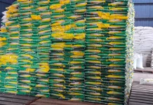 Bulog  Serui Pastikan Stok Beras dan Minyak Goreng Aman