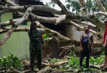 Babinsa  Bantu Warga Selamatkan Rumah dari Pohon Tumbang