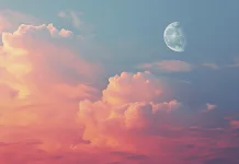 Lima Fakta Menarik " Pink Moon" yang Wajib Diketahui!