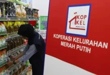 Menko Bidang Pangan Jamin Rekrutmen Manajer KDKMP dan KNMP Adil tanpa Biaya