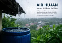 Inilah 5 Manfaat Air Hujan yang Tidak Kita Ketahui
