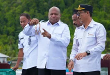 Gubernur Papua Dorong Pengembangan Budidaya Rumput Laut di Yapen
