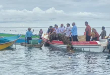 Kepala DKP Papua Apresiasi Ketekunan Petani Rumput Laut Sarwandori