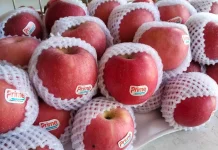 Buah Apel dan Manfaatnya untuk Jantung