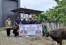 Anggota DPR RI Tonny Tesar Salurkan Bantuan Hewan Qurban untuk PCNU Yapen