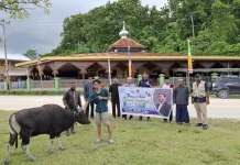 Anggota DPR RI Tonny Tesar Serahkan Bantuan Hewan Kurban untuk Masjid Al Muhajirin