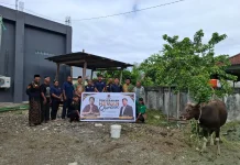 Anggota DPR RI Tonny Tesar Salurkan Bantuan Hewan Qurban untuk PCNU Yapen