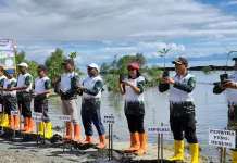 Peringati Hari Lingkungan Hidup, Pemerintah Waropen Tanam Tiga Ribu Mangrove