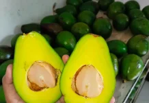 Manfaat Rutin Mengonsumsi Buah Alpukat untuk Menjaga Kesehatan Jantung
