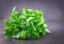 Menggali Karakter Rasa Masakan Melalui Pemanfaatan Daun Aromatik