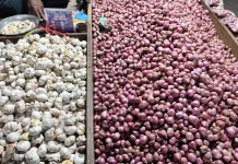 Komoditi Bawang Merah dan Putih Aman  Pasar Aroro Iroro Serui