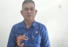 Stok Telur Ayam di Yapen Dipastikan Aman