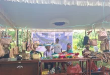Harmoni Budaya Promosi Wisata , Kuliner, Noken Khas Yapen