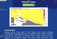 BMKG : Tinggi Gelombang Wilayah Papua 1,25-2,5 m  Periode 8-11 Juli 2026