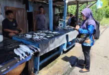 Cek  Harga Bapok Hasil Industri , Peternakan  dan Perikanan  di pasar Aroro Iroro serui