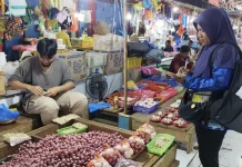 Update Harga Bahan Kebutuhan Pokok Hasil Pertanian di Pasar Aroro- Iroro Serui
