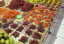 Cabai Rawit Mengalami Kenaikan Harga Pasar Aroro Iroro Serui