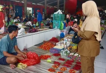 Update Harga Bapok Hasil Pertanian, Cabe Rawit 100 Ribu / kg Pasar Aroro-Iroro Serui,
