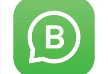 5 Fakta Unik Whatsapp Bussiness Dengan Tarif Baru 2026