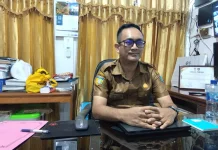 Ruas Jalan di Yapen Berstatus Ruas Jalan Nasional , Provinsi dan Kabupaten