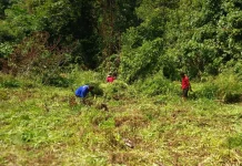 Sambut HUT RI, Warga Kampung Aibondeni Kerja Bakti Bersama