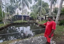 Petani Budidaya Ikan Nila Gift dan Ikan Mas Harapkan Perhatian Dinas Terkait
