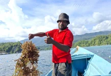 Sekali Panen Petani Rumput Laut Raup 15 Juta Rupiah