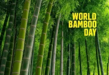 18 September : Hari Bambu Sedunia, Inspirasi Hijau dari Alam