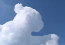 Fakta Unik Pareidolia, Otak Suka ‘Menipu’