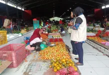 Harga Bahan Pokok Hasil Pertanian di Pasar Aroro-Iroro Serui Bervariasi