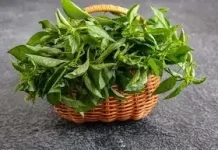 Manfaat Daun Kemangi bagi Kesehatan