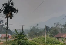 Jangan Sepelekan Kabut Asap! Kenali Ancaman Tersembunyi di Balik Udara yang Kabur