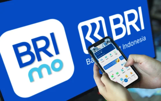 Mudahkan Masyarakat Menggunakan, Super Apps BRImo