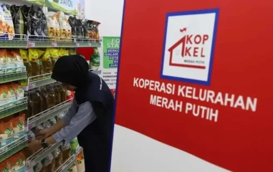 Menko Bidang Pangan Jamin Rekrutmen Manajer KDKMP dan KNMP Adil tanpa Biaya