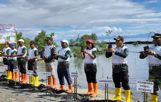 Peringati Hari Lingkungan Hidup, Pemerintah Waropen Tanam Tiga Ribu Mangrove