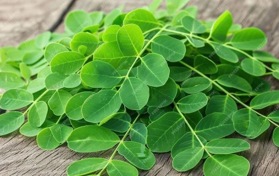 Daun Kelor, Superfood Lokal dengan Segudang Manfaat
