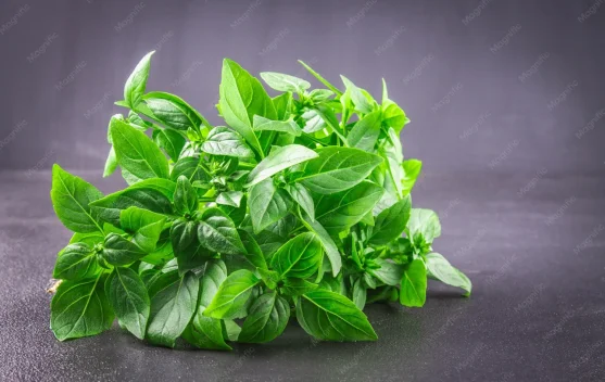 Menggali Karakter Rasa Masakan Melalui Pemanfaatan Daun Aromatik
