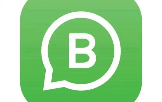 5 Fakta Unik Whatsapp Bussiness Dengan Tarif Baru 2026