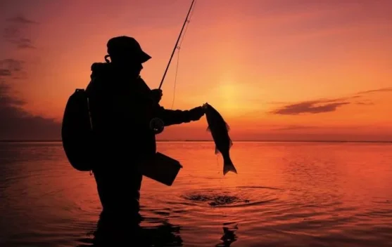 Mengenal 15 Istilah dalam Memancing yang Wajib Kamu Ketahui