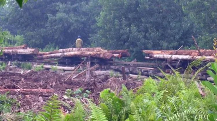 Musim Kering Tingkatkan Risiko Kebakaran, Kesadaran Warga Dibutuhkan