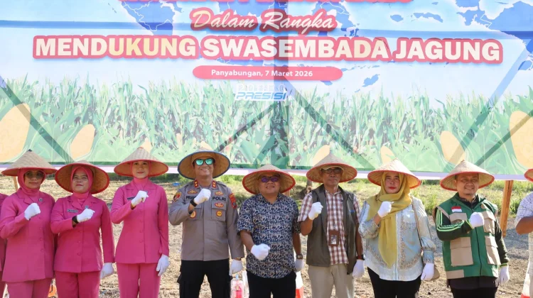 Pemkab Madina Dukung Tanam Jagung Serentak Demi Swasembada