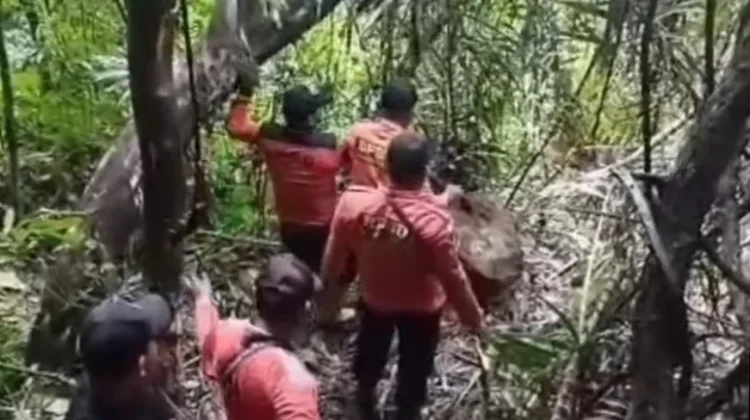 BPBD Tapteng Pantau Kondisi Perbukitan Panakkalan Pasca Longsor